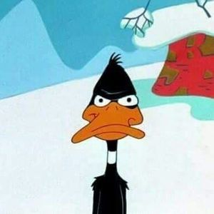 Meet your Posher, Carey